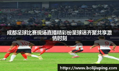 成都足球比赛现场直播精彩纷呈球迷齐聚共享激情时刻