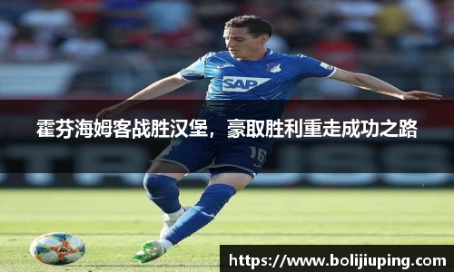 霍芬海姆客战胜汉堡，豪取胜利重走成功之路
